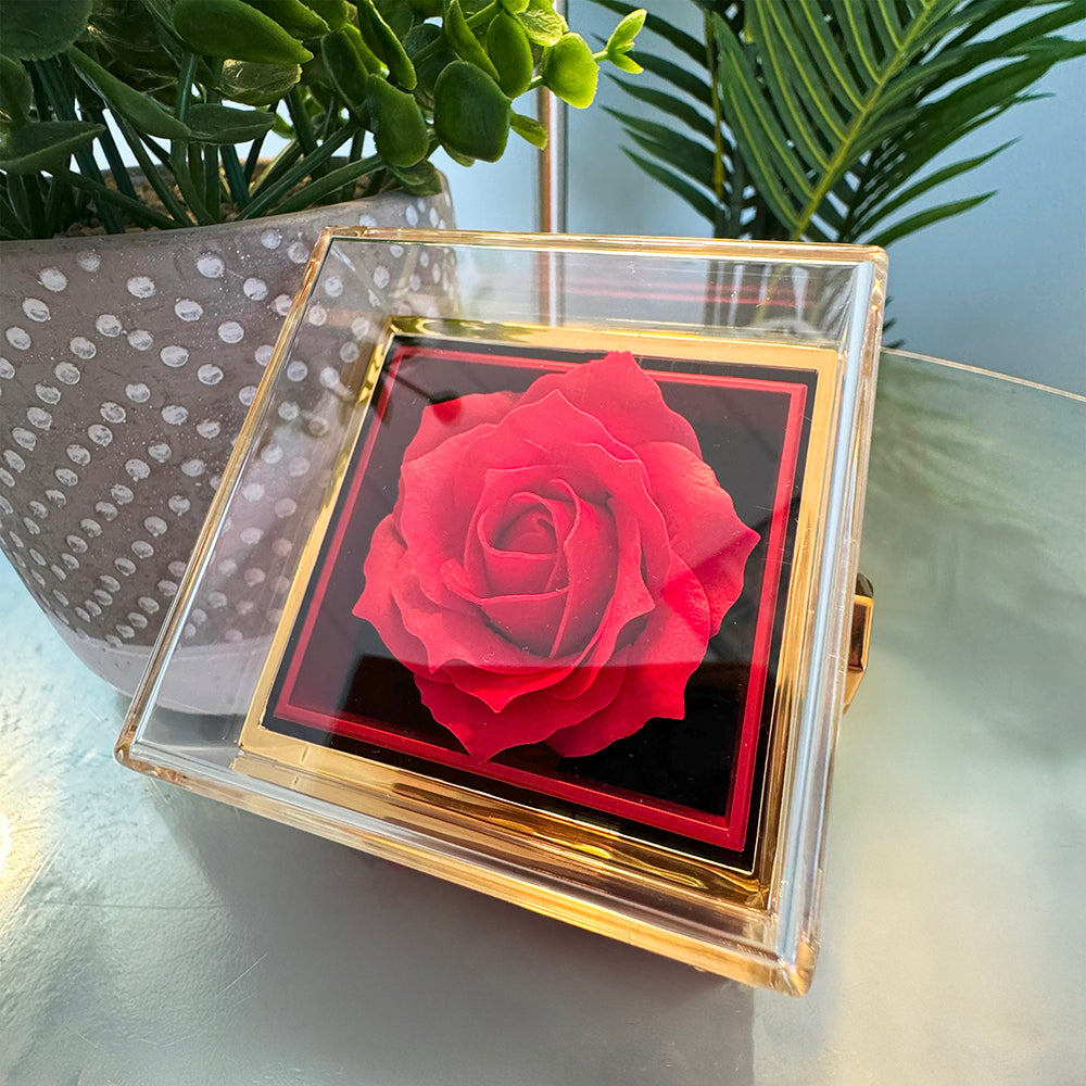 Chapters Cross - Daughter Birthday Necklace with Rose Box
