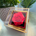 Chapters Cross - Daughter Birthday Necklace with Rose Box
